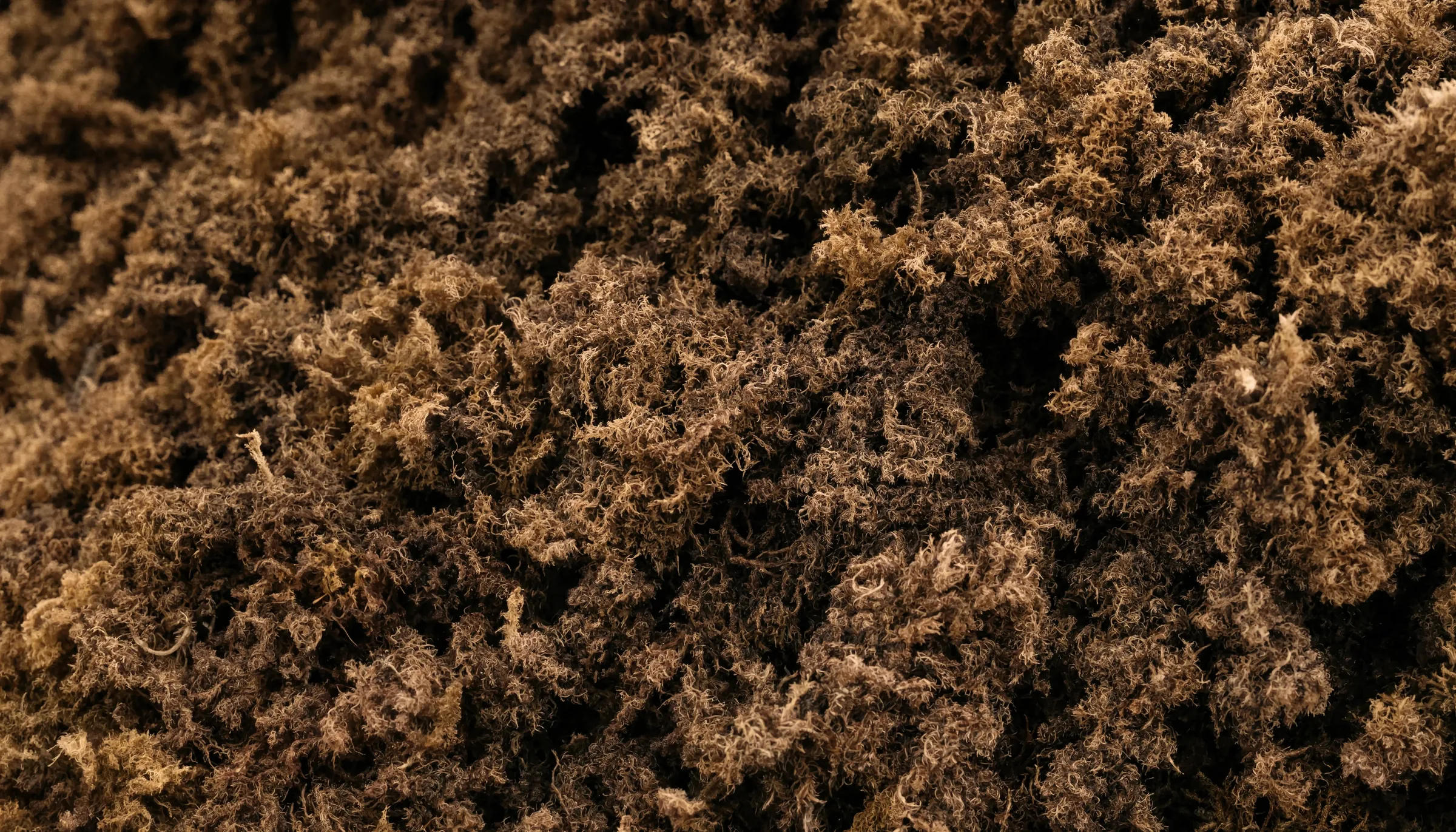 Close-up texture of fibrous growing medium